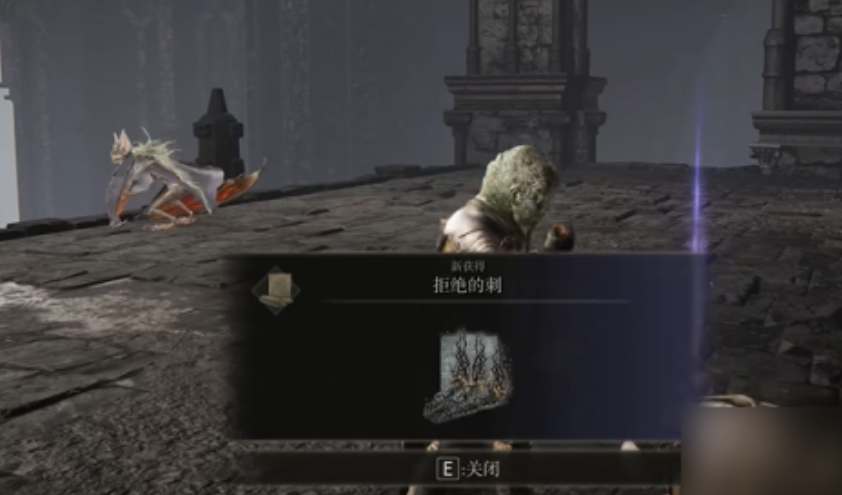 艾尔登法环dlc拒绝的刺流派配置攻略