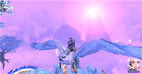 1476668857249557.jpg 48005.jpg