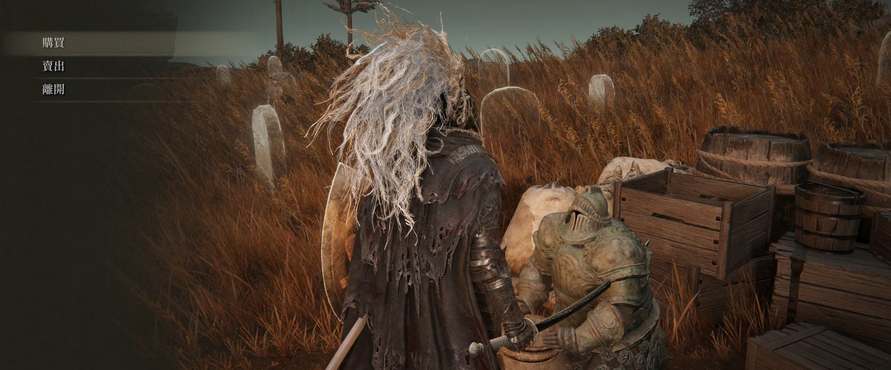 艾尔登法环dlc托梨娜支线任务流程攻略