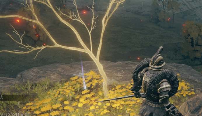 艾尔登法环黄金种子全收集攻略