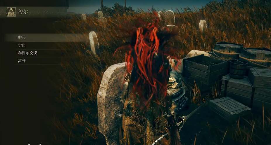 艾尔登法环dlc穆尔支线任务流程攻略