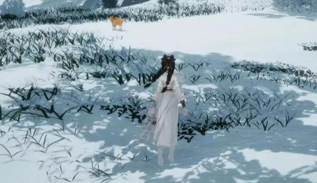 射雕手游无定坊猛兽献宝位置在哪